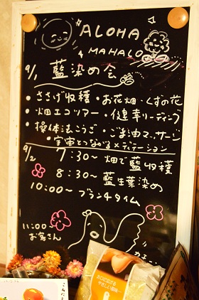 a0154304_16384180.jpg