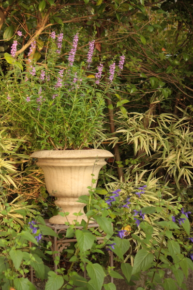 d0001008_7617.jpg