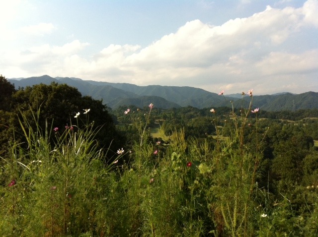 e0034013_121495.jpg