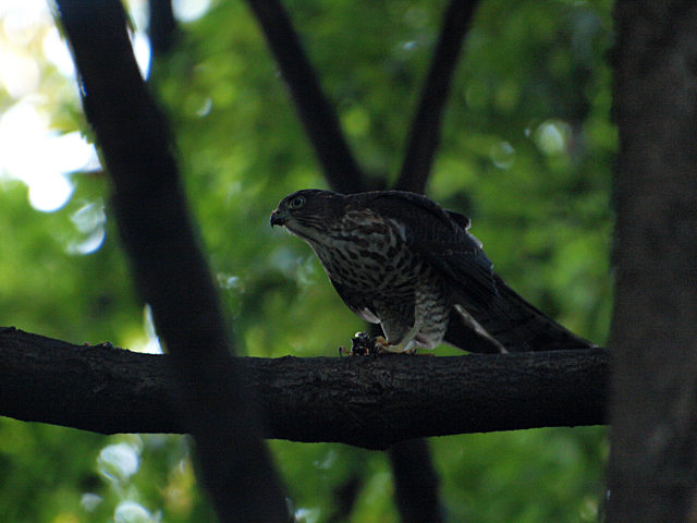 f0051915_23201313.jpg