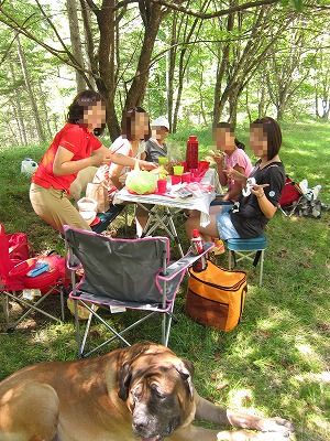 夏の思い出、ルイっちと美ヶ原高原の巻_e0192217_7323046.jpg