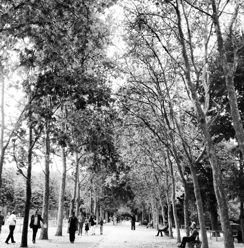 c0182022_2365314.jpg