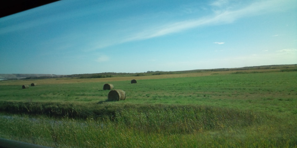 f0009833_93532.jpg