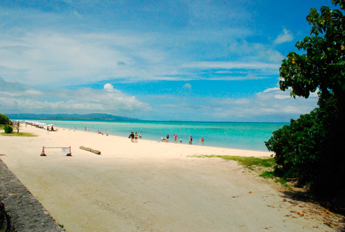 f0209740_1537227.jpg