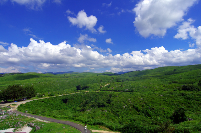 d0186245_11231436.jpg