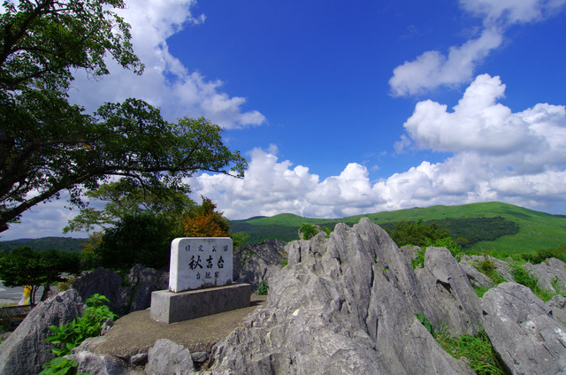 d0186245_11305244.jpg