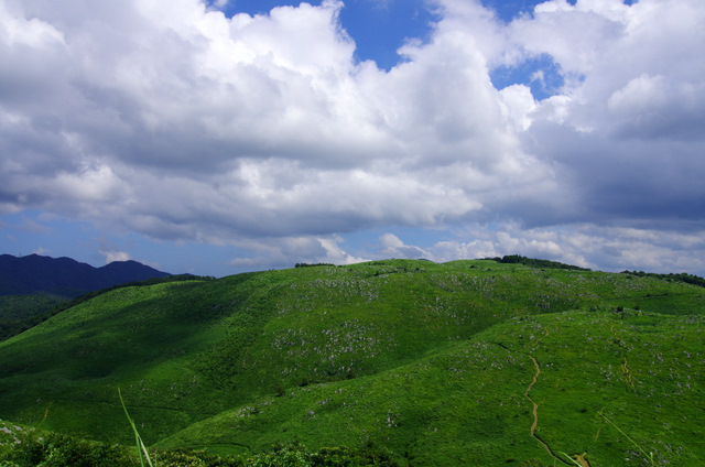 d0186245_11383375.jpg