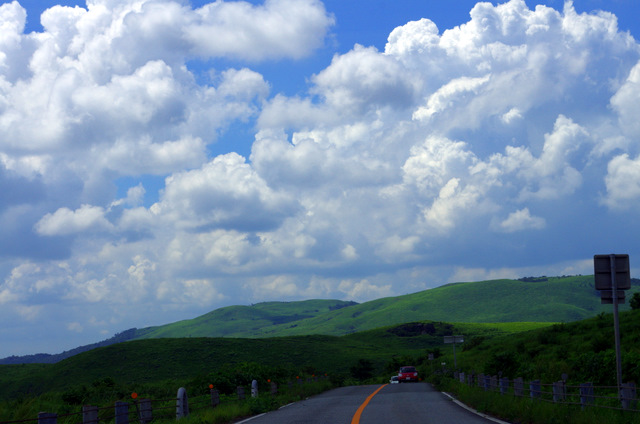 d0186245_11385648.jpg