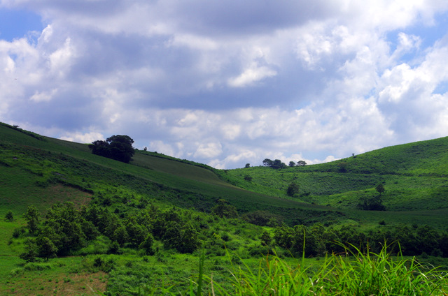 d0186245_1140165.jpg