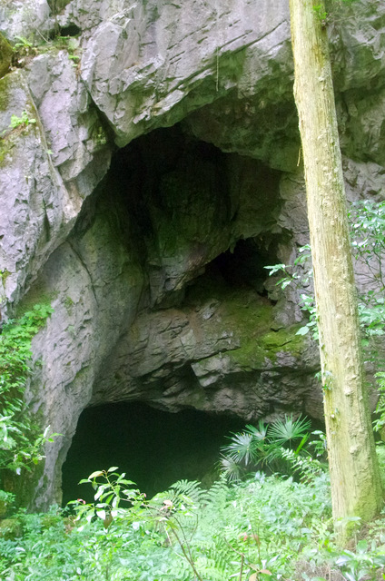 d0186245_11443141.jpg