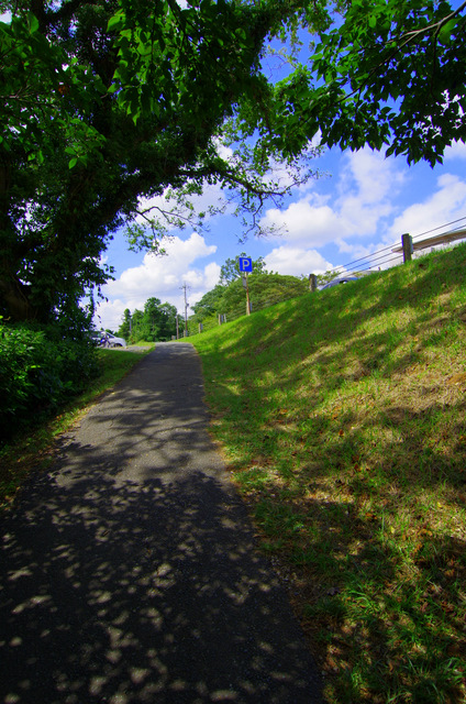 d0186245_114433.jpg