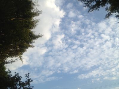e0295455_20222854.jpg