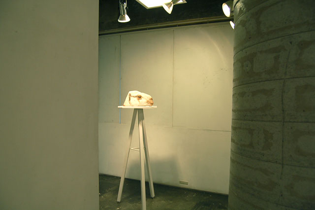 明日スタート、1F東影智祐展_a0071956_17234633.jpg