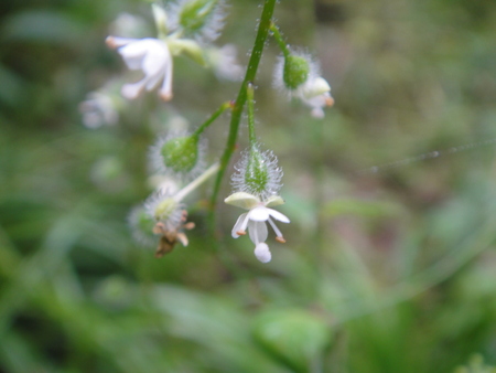 c0108460_23383725.jpg
