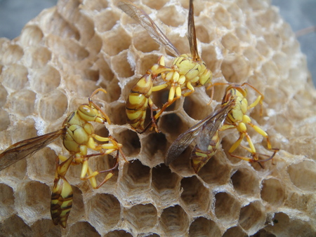 c0108460_23484914.jpg