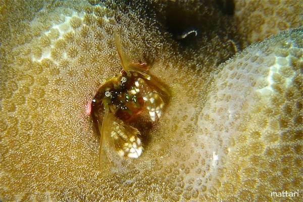 e0158261_16134312.jpg