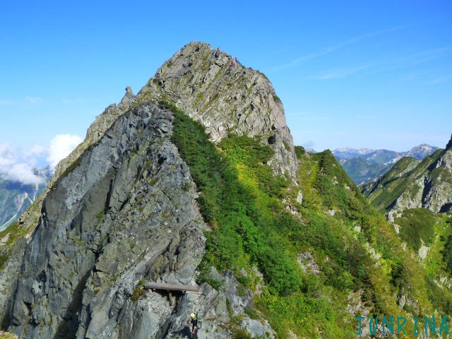 d0110562_15433298.jpg