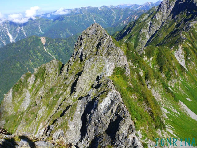 d0110562_1548132.jpg