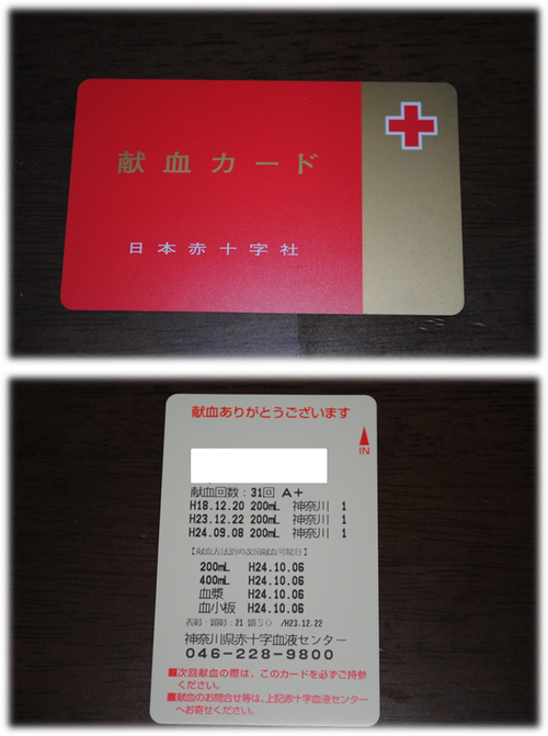 b0242873_0283361.png