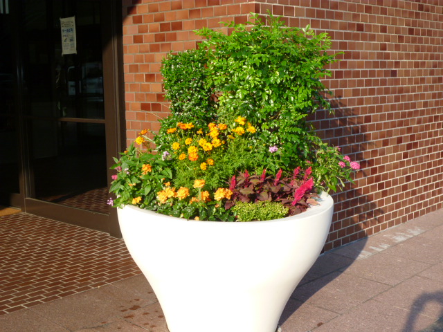f0200477_2130997.jpg