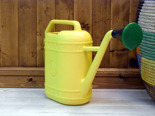 Watering can_a0025778_21412444.jpg