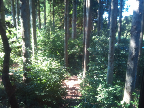 c0149187_2242783.jpg