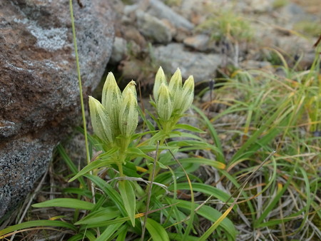 e0271890_10413917.jpg