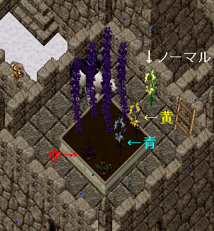d0118293_2235184.gif