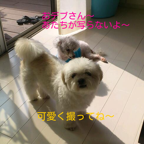 b0237894_1822942.png
