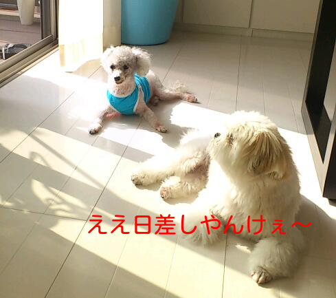 b0237894_1832748.png