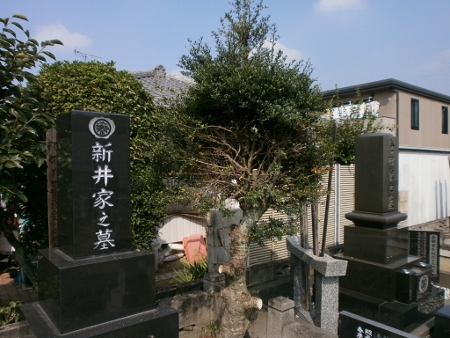 d0000995_1715333.jpg