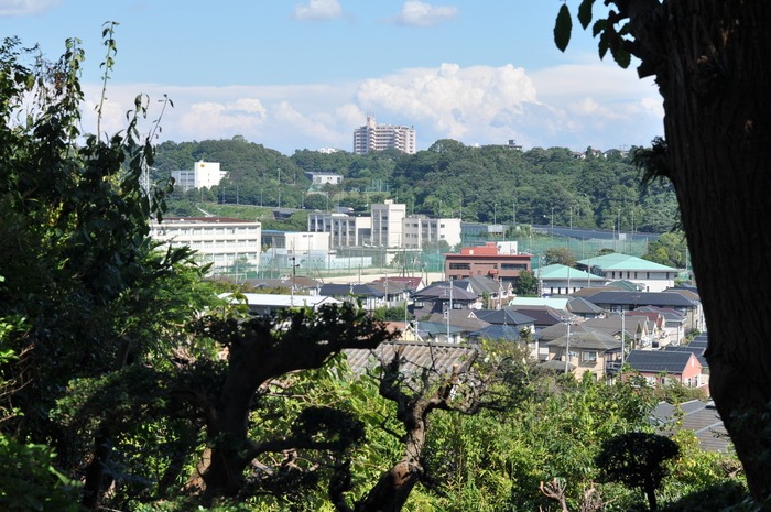 スケジュール_a0214096_21442168.jpg