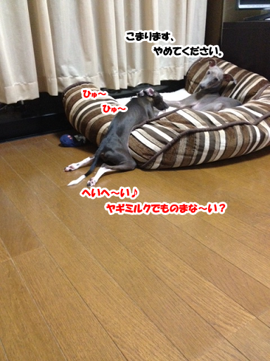 e0290901_21552077.png