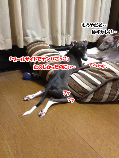 e0290901_21581244.png