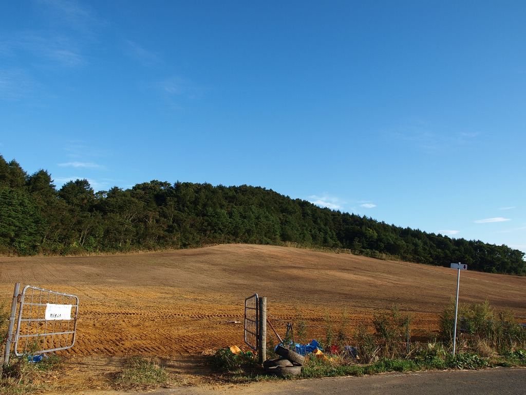 f0138305_2092512.jpg