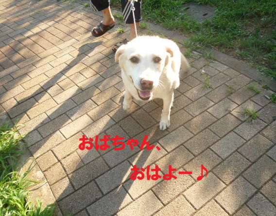 e0131506_103499.jpg