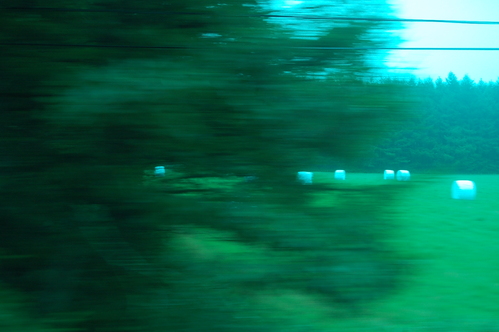 a0112812_0231128.jpg