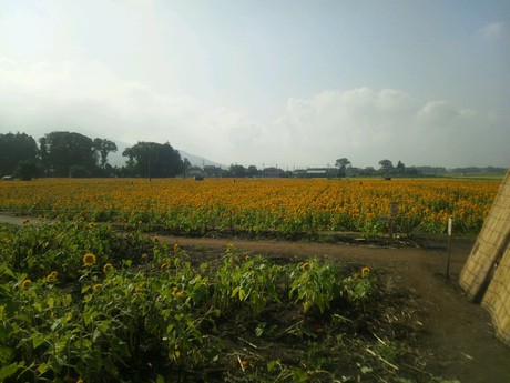 c0143314_0103972.jpg