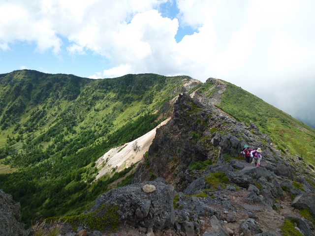 d0170615_12096.jpg