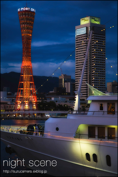 神戸の夜_f0100215_1204296.jpg