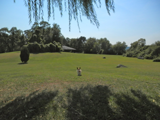 e0147716_6353048.jpg