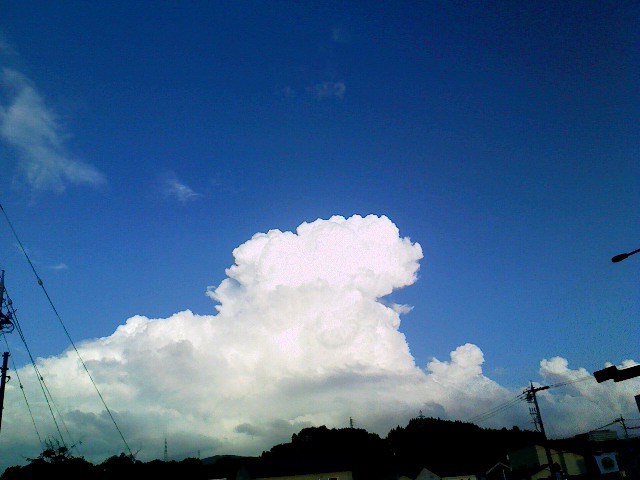 a0134323_2332521.jpg