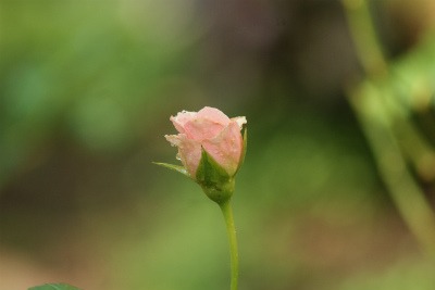 f0170524_14313218.jpg