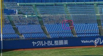 駒澤大対國學院大 9月11日 東都大学野球1部_b0166128_1375874.jpg