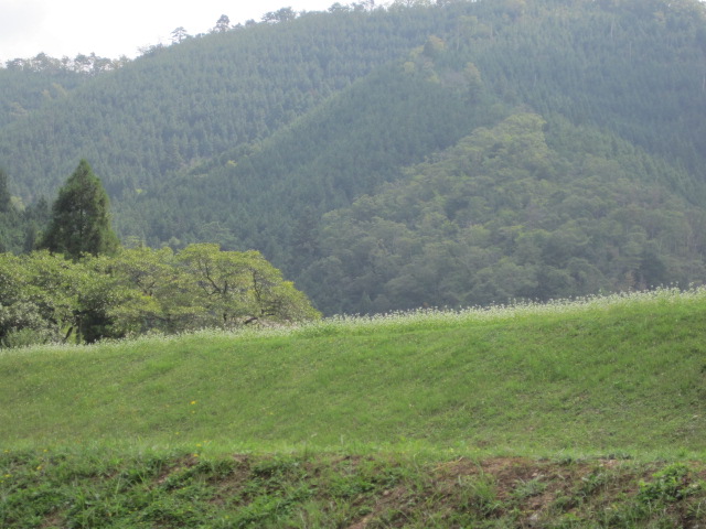 b0167733_14392281.jpg
