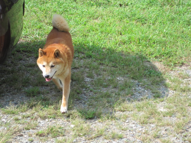 b0167733_1446915.jpg