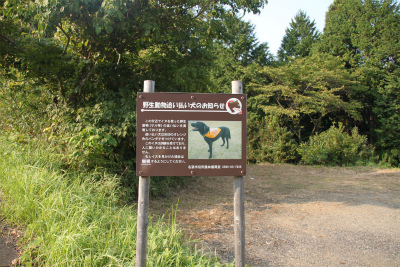 d0055236_16482990.jpg