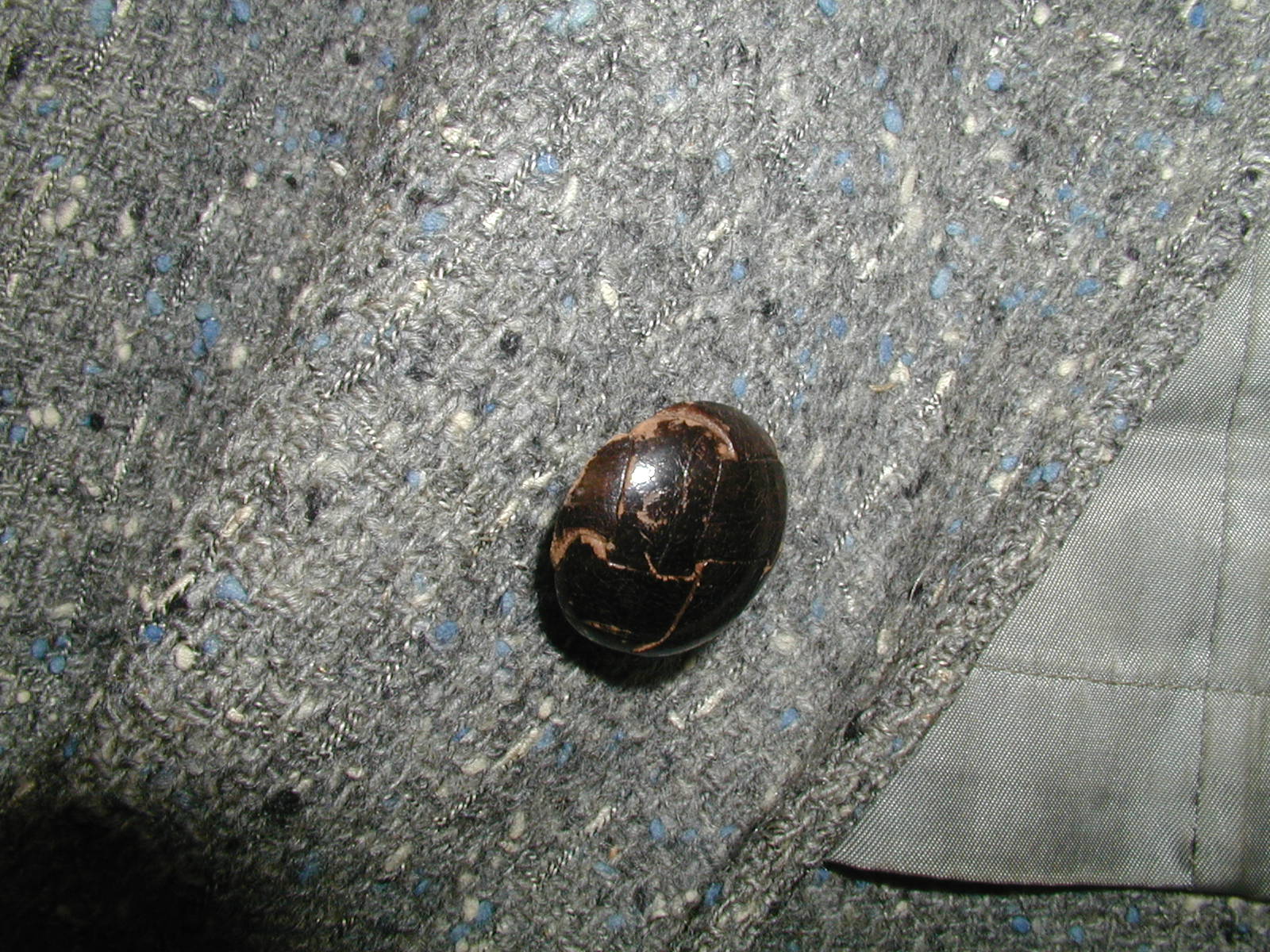 a0266240_10385735.jpg