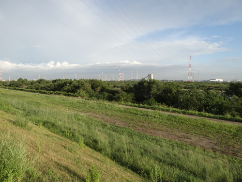 コムラサキ 20120915 矢作川_d0254540_1085681.jpg