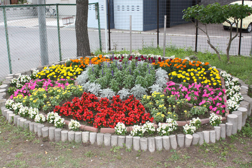 第２０回学校花壇コンクール 写真展 函館市住宅都市施設公社 スタッフブログ